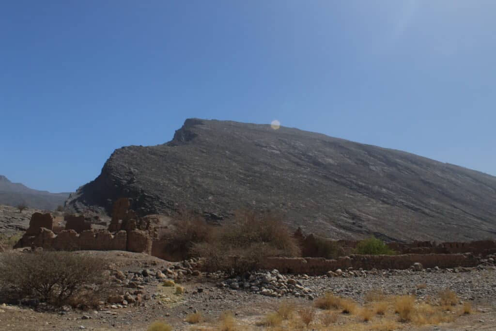 Tanoof Featured Image